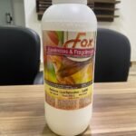 WhatsApp Image 2024-08-09 at 11.11.44 (1)